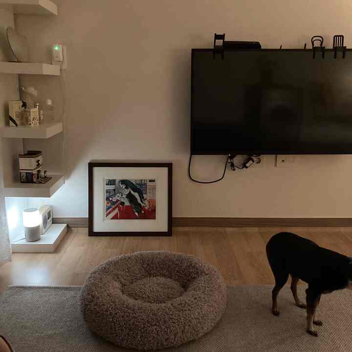 ナチュラルな木目調の床とベージュのラグが配置されたリビング、ペットベッドと犬が調和する落ち着いた空間