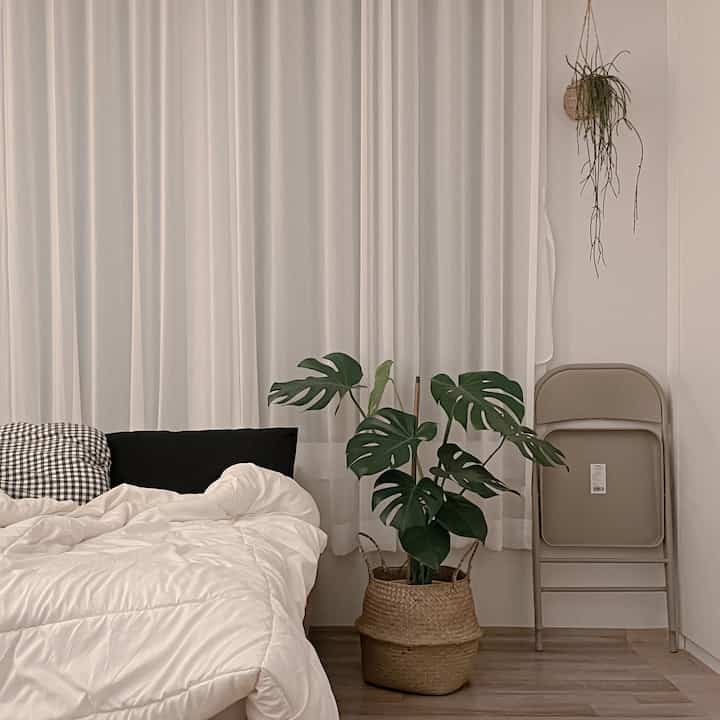 A bedroom in white and beige tones featuring a bed with white bedding and black pillows, and a monstera plant in a rattan basket, creating a clean atmosphere