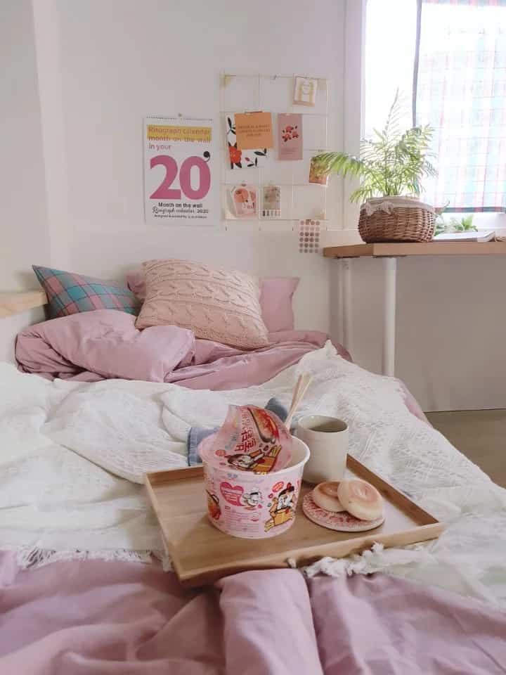 A pink and white toned bedroom featuring a cozy bed with cushions and a plant by the window creating a warm atmosphere