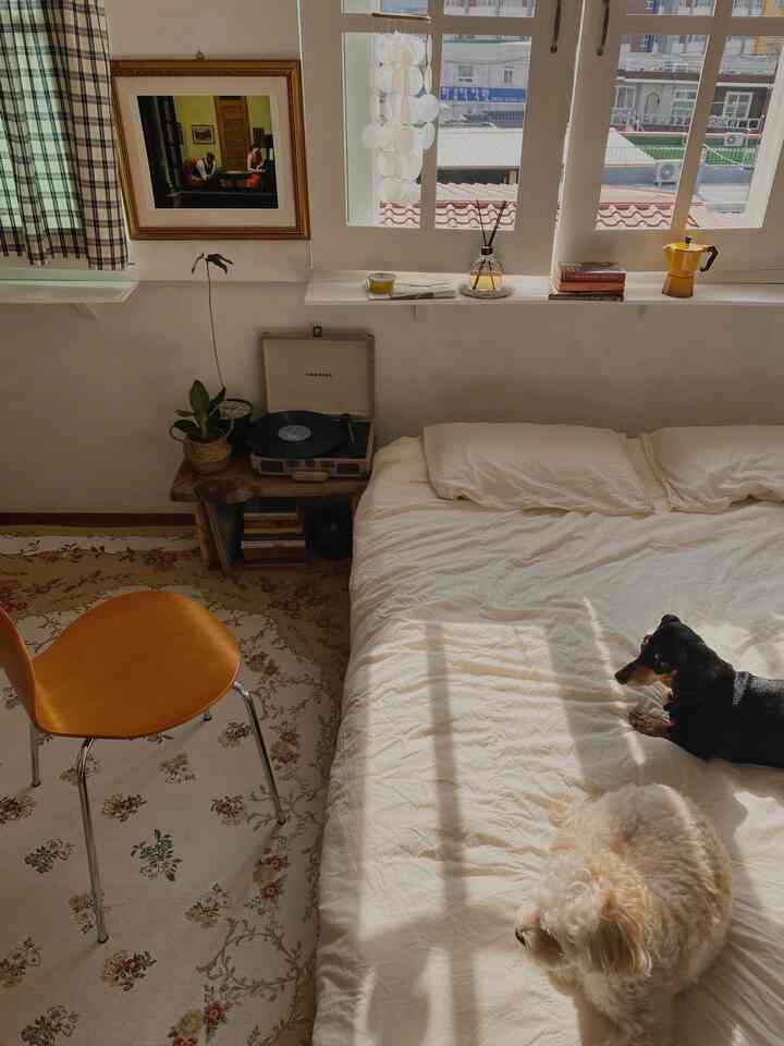Natural-toned bedroom featuring a large white bed, wooden chair, a vintage turntable, and two dogs creating a cozy atmosphere
