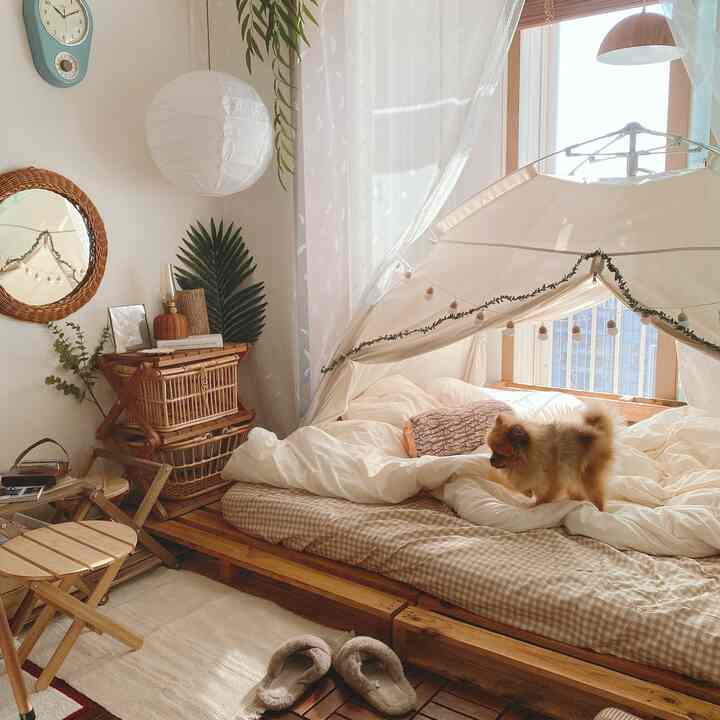 ベージュとブラウンの木目調が調和する自然素材の家具と小さな犬がいる温かみのある寝室