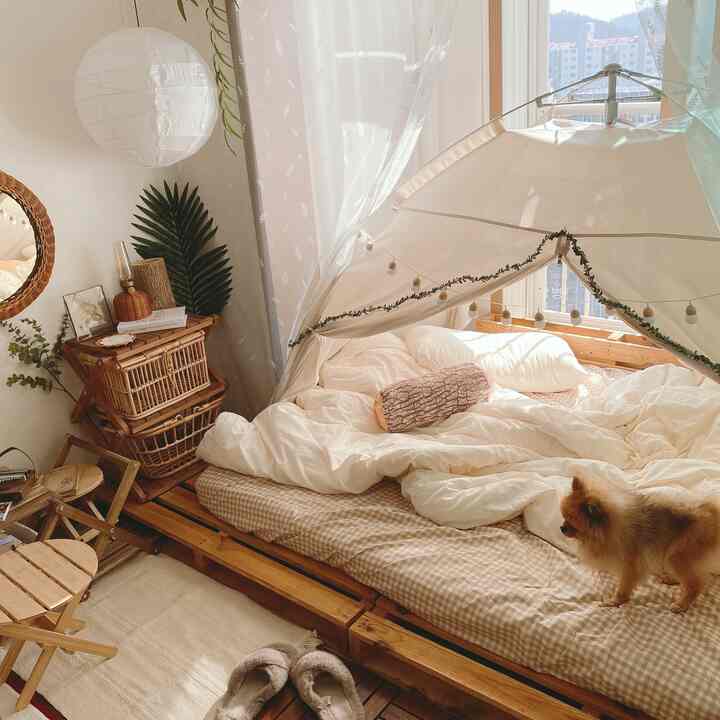 Beige and wood-tone studio bedroom featuring cozy bedding and a small dog in a natural atmosphere