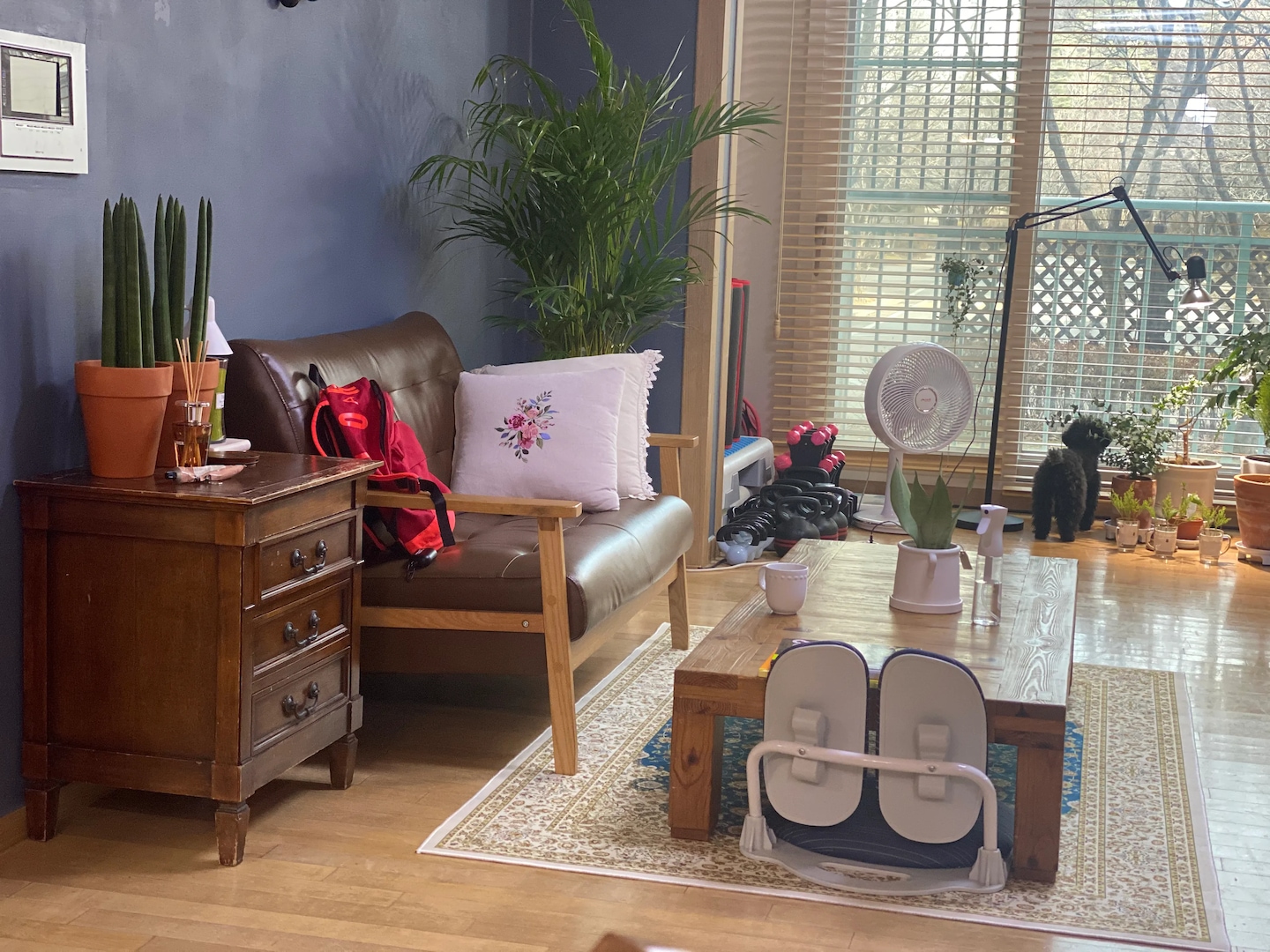 페르시안러그 > 타피스 페르시안 카페트 나인 러그 4colors (4size) | 오늘의집 쇼핑