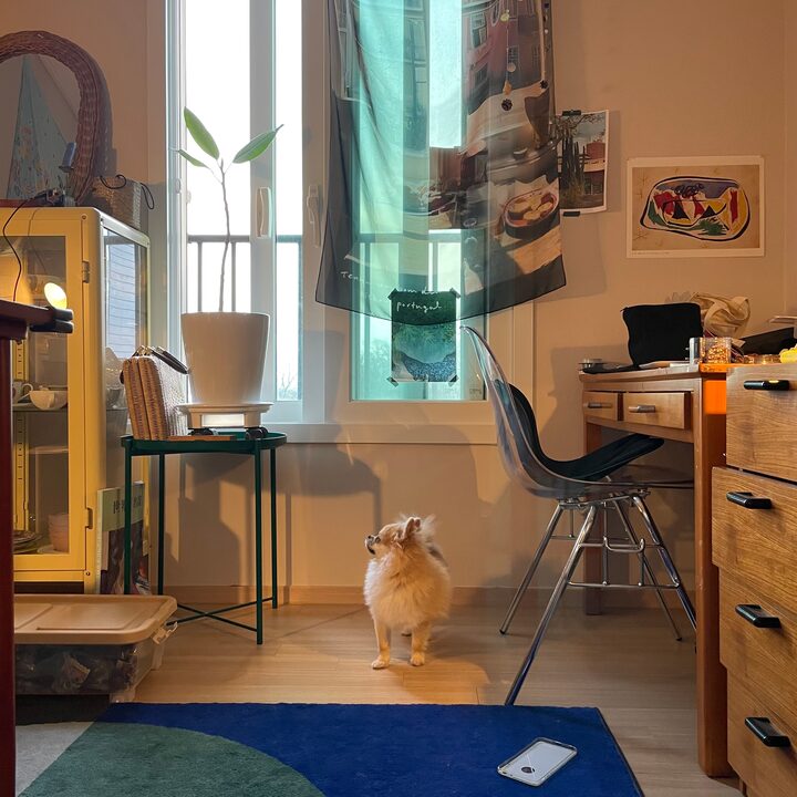 short form carousel card thumbnail