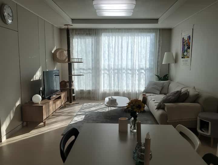 ナチュラルトーンの22坪アパートのリビング、ベージュのソファと木製のテレビ台、白いレースカーテンが配置された温かみのある空間