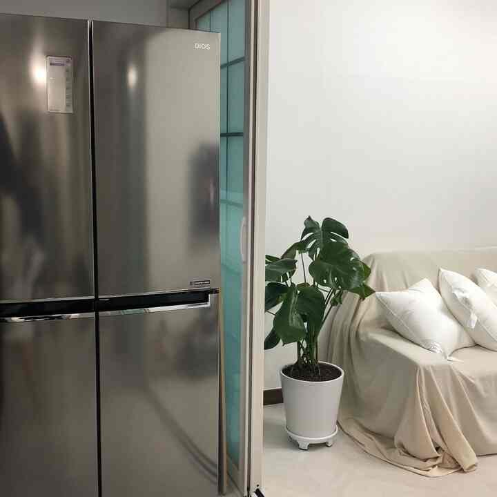 A white and ivory toned living room featuring a refrigerator, a monstera plant, and an ivory sofa creating a clean, natural space
