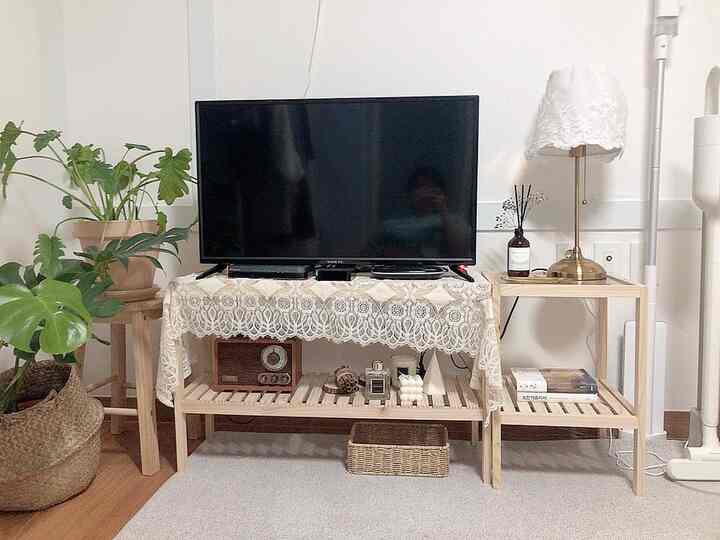 Natural wood tone furniture and plants in a studio apartment living room space, cozy and tidy atmosphere