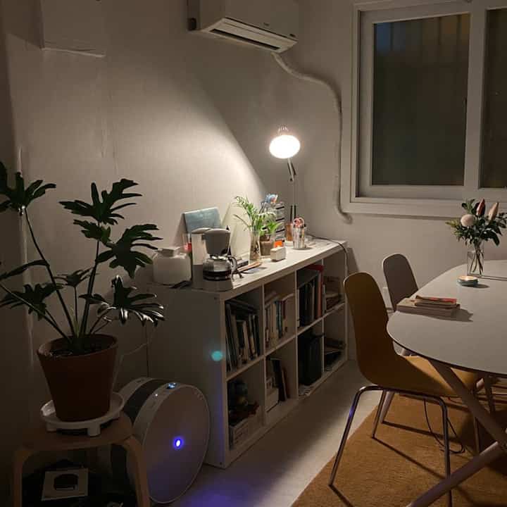 White-walled dining and home office space featuring yellow chairs and bookshelf with plants