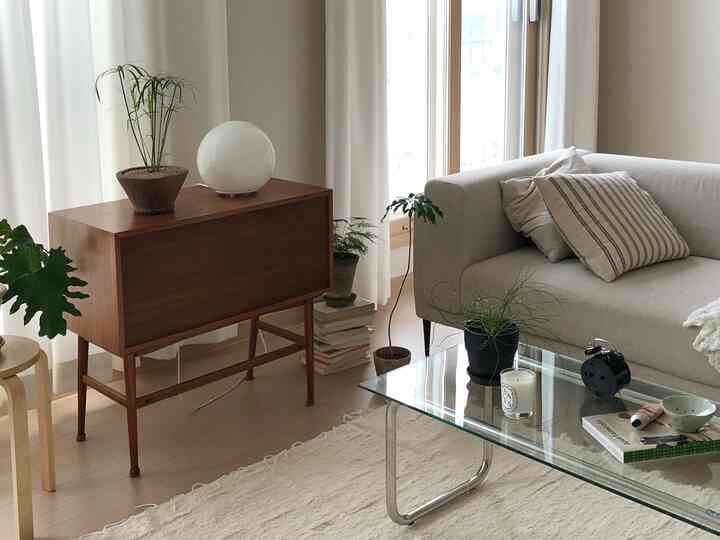 あちこちに散らばっていた植物を集めてみましょう🌿💗😜