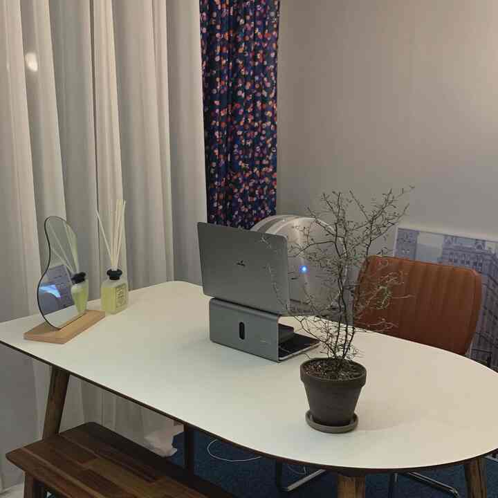 A modern home office space featuring a white and navy desk with a laptop, decorated with plants and interior accessories for a cozy atmosphere
