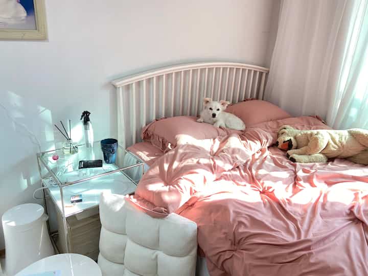 White and pink toned bedroom featuring a simple modern bed with a pet dog relaxing cozily