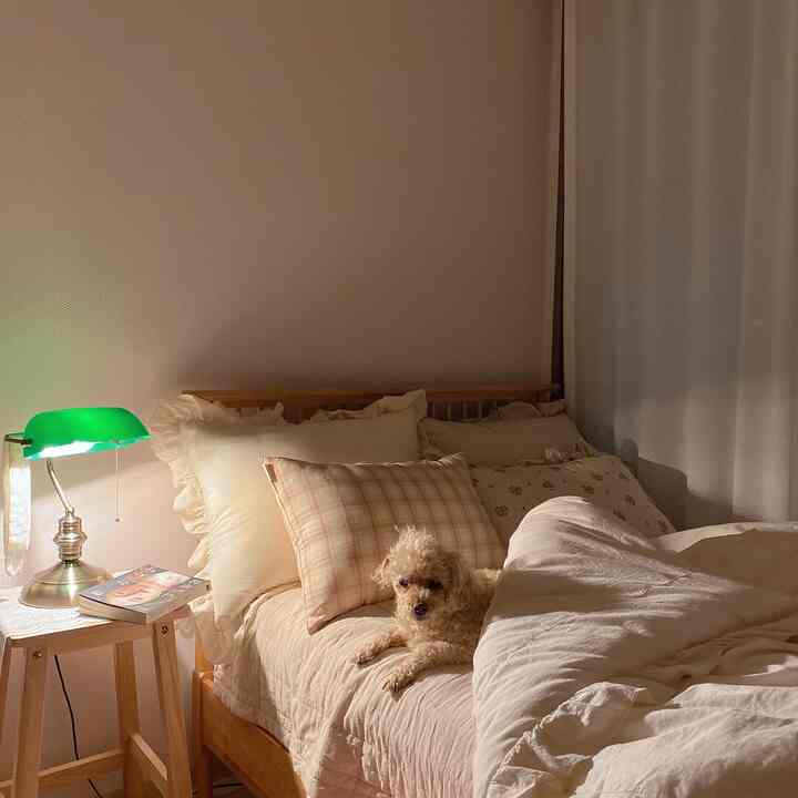 Beige, ivory, and pink toned bedroom featuring a wooden bed with lovely cushions and a small dog resting, creating a cozy atmosphere