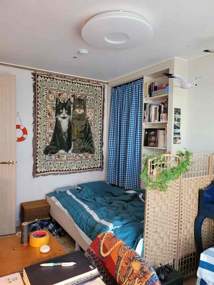Natural wood and rattan bedroom featuring blue check curtains, cat-patterned blanket, and pet cat accessories