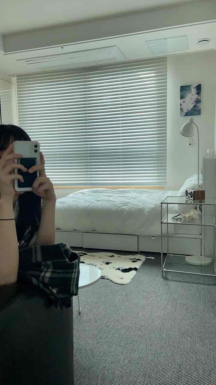 White and gray toned bedroom featuring blinds and a cowhide-pattern carpet as focal points in a modern single household space