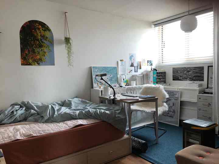 Modern compact bedroom with white walls and brown wood tones, featuring a bed, desk, and rug