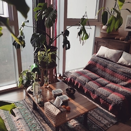 나는 예쁘게 먹지 않는다.
직접 만든 티슈커버와 현실감 넘치는 반찬통, 며칠 된지 모를 밥과 굴러다니는 귤 2개..