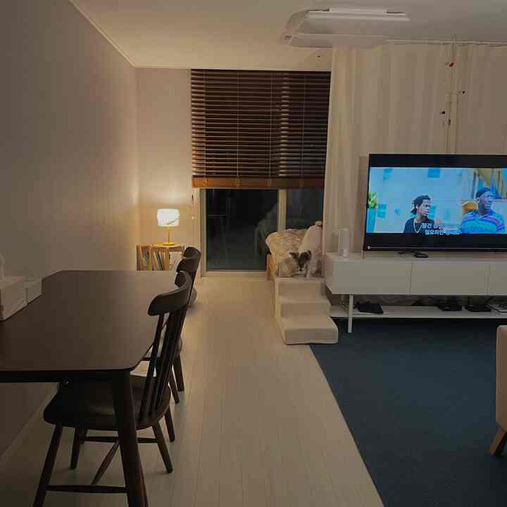 A modern studio apartment living room with wood tones and white, featuring a dark wood dining table, dog steps, and a TV stand