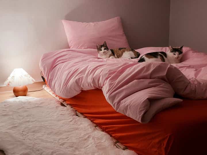 A loft bedroom with pink bedding and white rug, featuring two cats resting on the bed, creating a cozy atmosphere