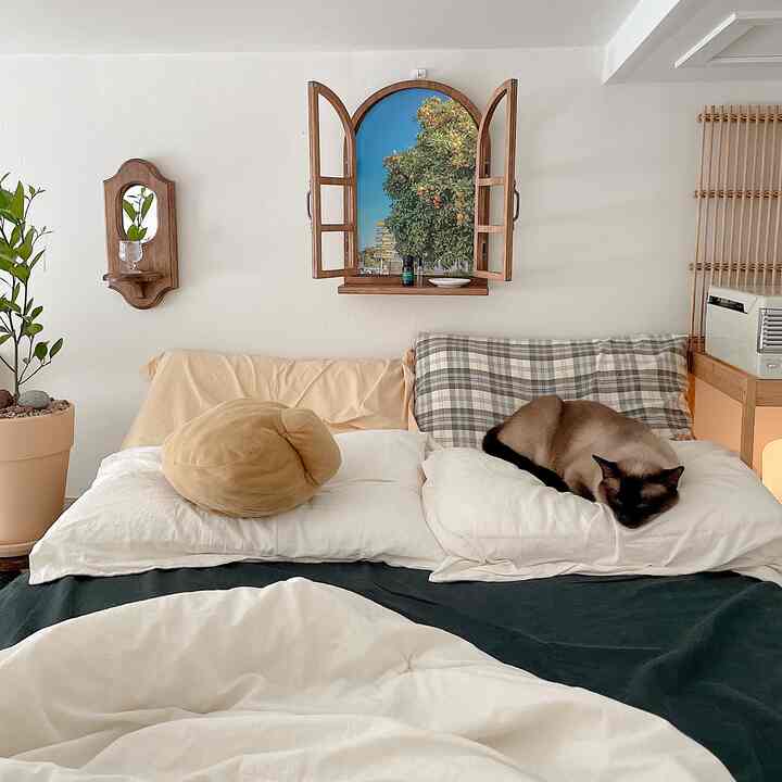Natural-toned bedroom featuring wooden wall decor, potted plant, and a cat resting on pillows, creating a cozy atmosphere