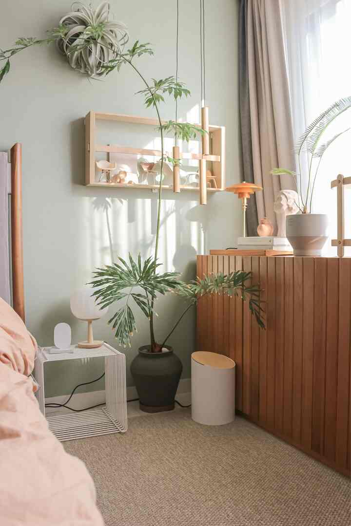 Natural wood tone bedroom featuring a large sideboard, bed, and green plants with soft natural light creating a calm atmosphere