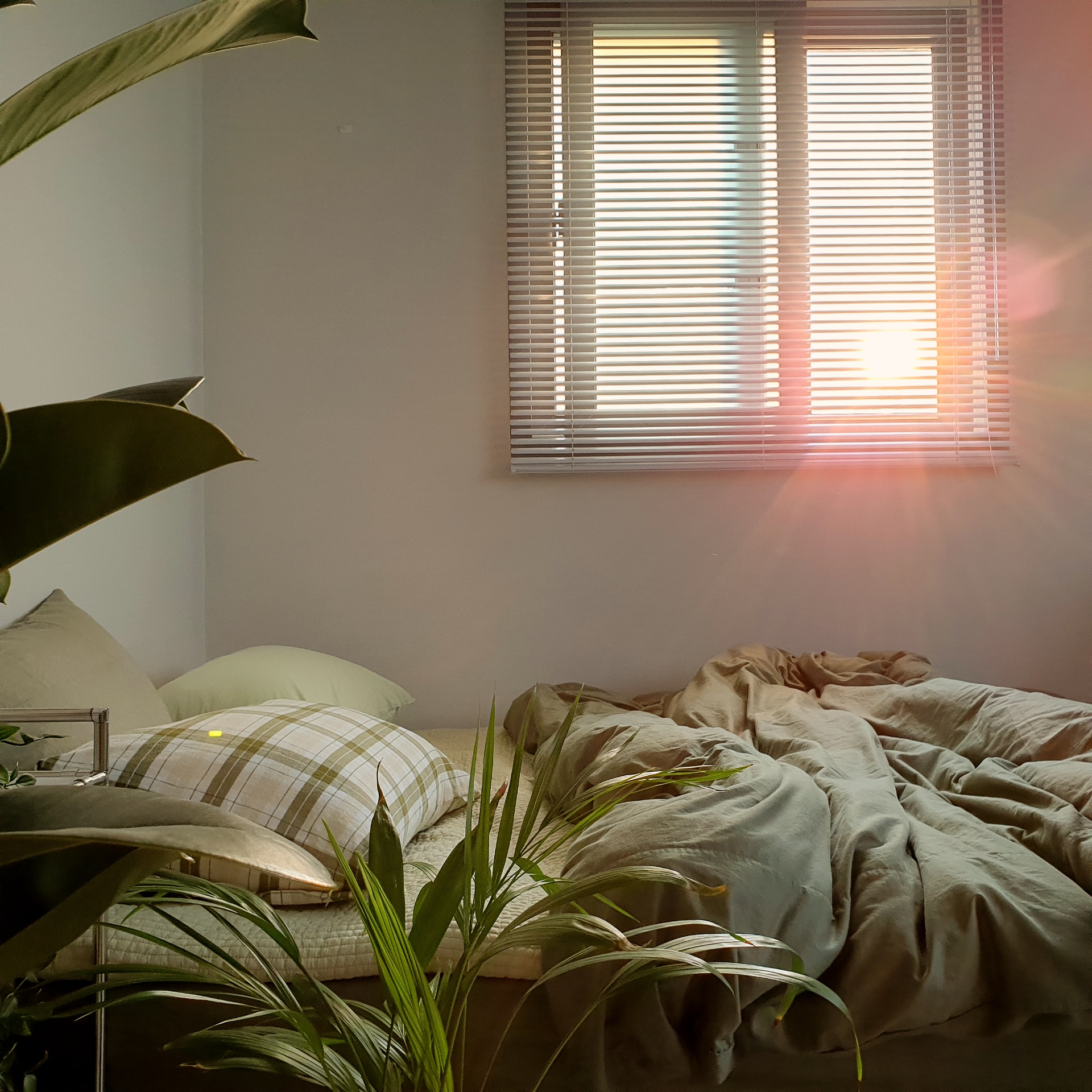 Eve Garden Pigment-Washed Comforter Pad user photo