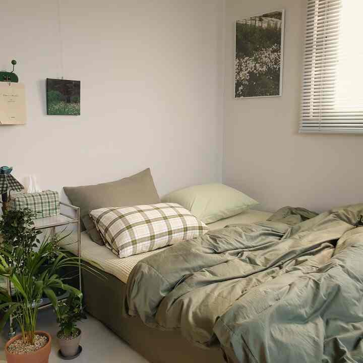 A cozy small bedroom with soft green and natural tones, featuring plants and framed art