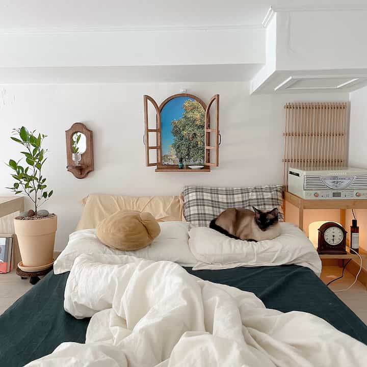 White and wood-toned bedroom featuring a central bed with a cat resting, a plant on the left, creating a cozy atmosphere