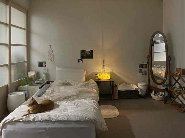 Ivory-tone studio bedroom featuring a bed with a resting cat, illuminated fish tank, and natural wood furnishings creating a cozy atmosphere