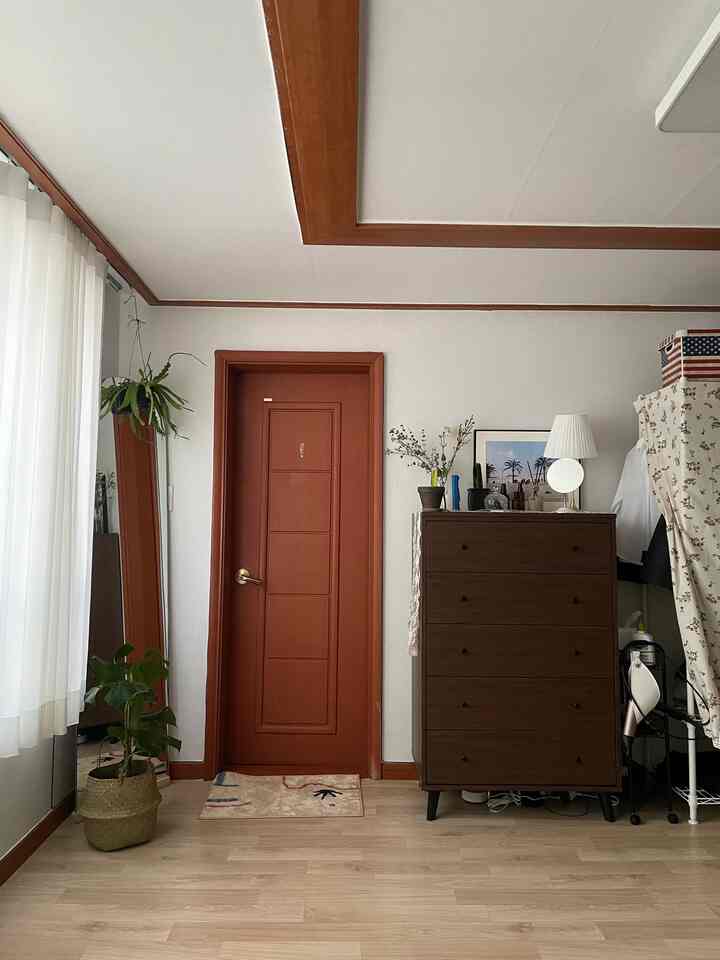 Natural bathroom setting with white walls, brown door and dresser, and plants arranged neatly