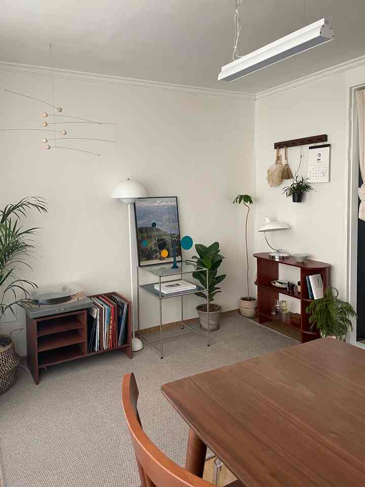 A natural-toned living room with wooden furniture, plants, and a record storage cabinet creating a cozy and comfortable space