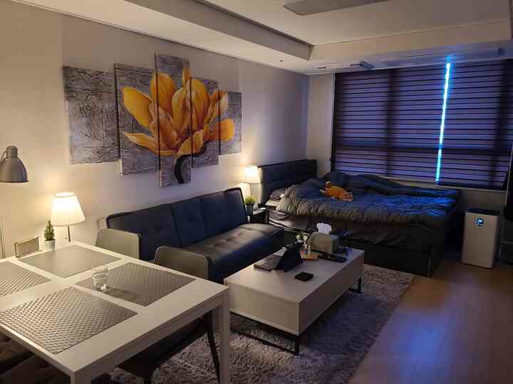 Natural wood-tone studio apartment combining living and bedroom, featuring sofa, dining table, and bed in a modern cozy interior