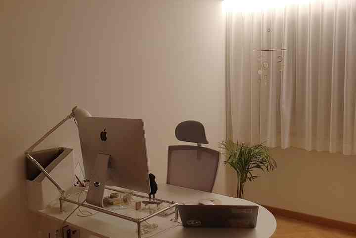 White and wood tone home office space featuring tidy desk, office chair, and a plant creating a cozy workspace