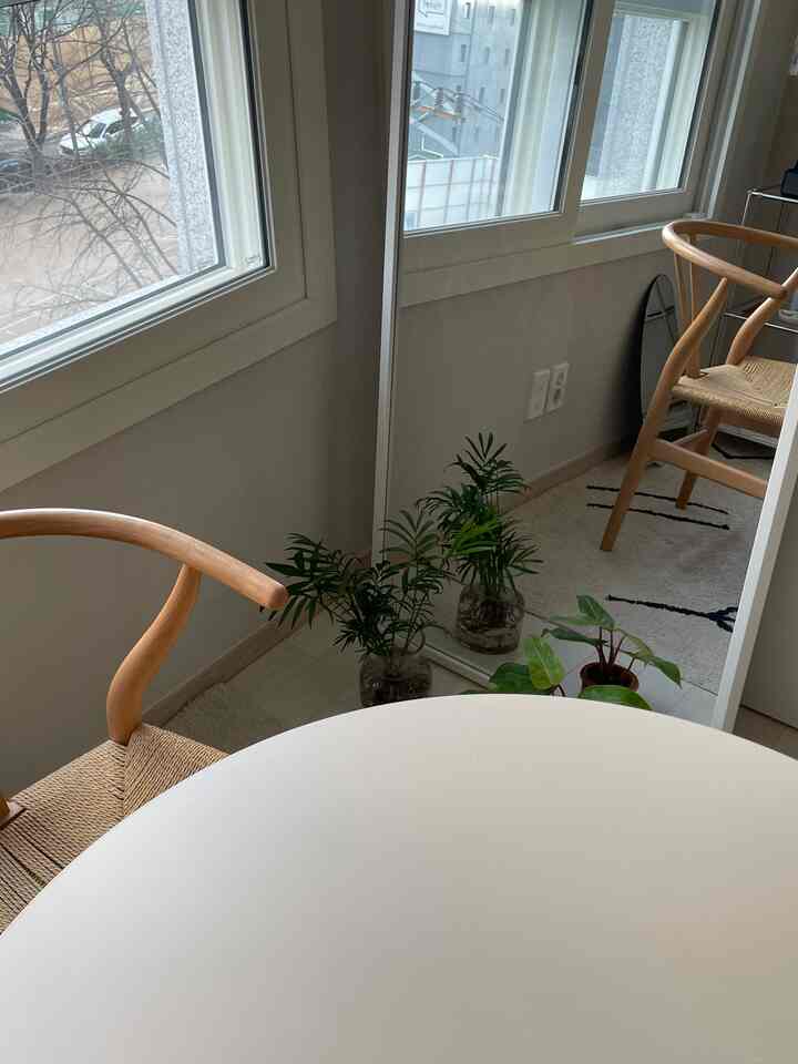 Natural-toned small living space featuring a large full-length mirror, wooden chair, and plants, creating a simple and spacious atmosphere