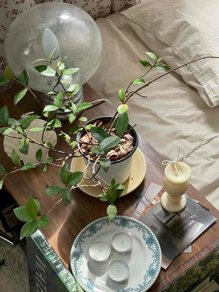 Cozy bedroom space with natural wood tone table featuring plants, candles, and a table lamp