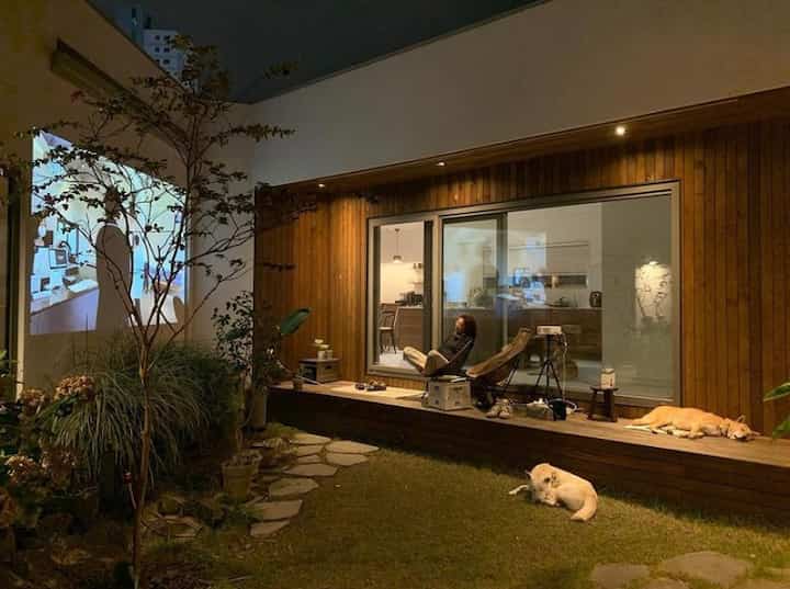 Warm wood tones and green lawn combined in a private courtyard featuring resting dogs and peaceful outdoor lounge area