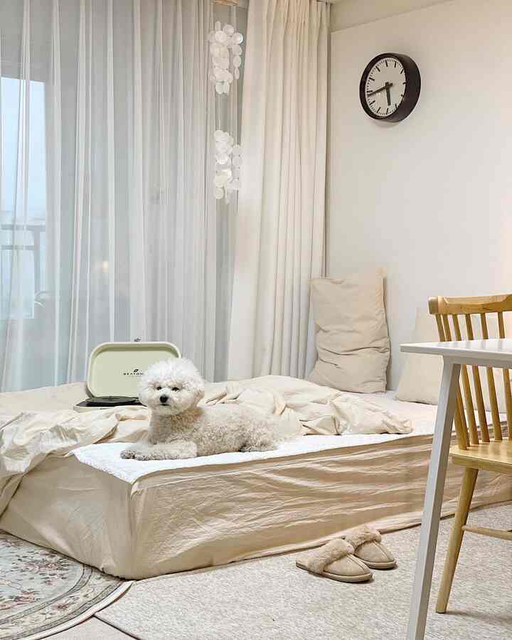 ベージュとアイボリーの色調の寝室、中央に犬がいて、ベッドとカーテンが配置された自然な雰囲気のインテリア