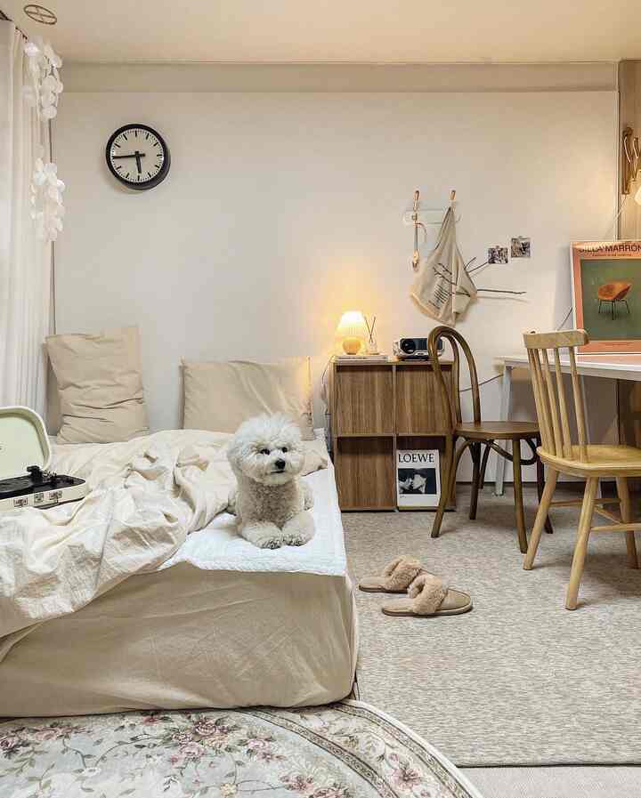 Beige-toned bedroom featuring a small fluffy dog at center bed, natural modern wooden furniture and warm lighting creating a cozy atmosphere