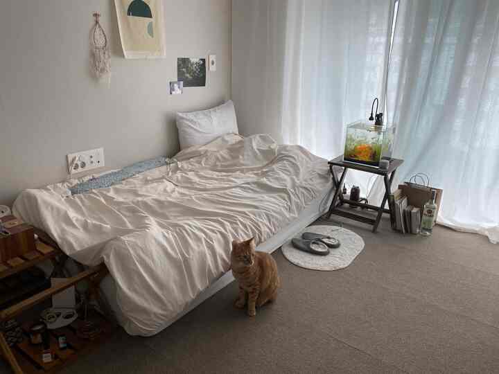 ホワイトとウッドトーンの寝室、シンプルなベッドとナイトテーブル、猫とアクアリウムが配置された落ち着いた雰囲気のインテリア