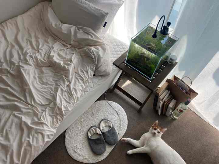 白と茶色のトーンの寝室、シーツとカーテンが白く、ラグの上に猫と水槽が置かれた落ち着いた空間