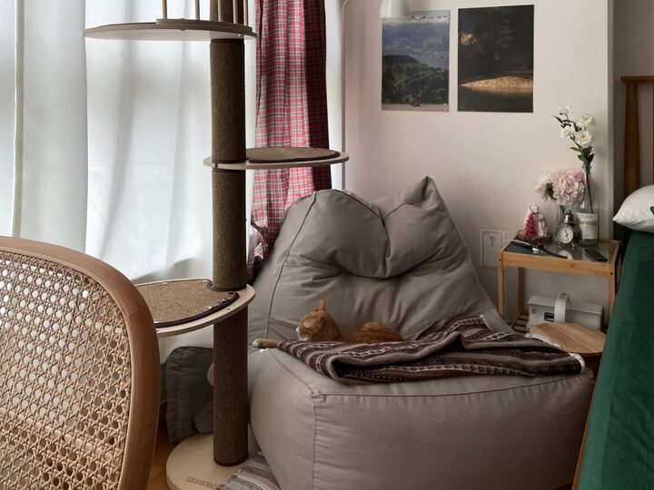 short form carousel card thumbnail