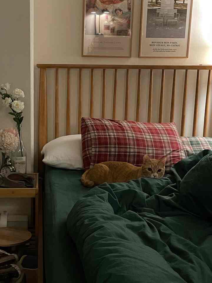 ウッドトーンとグリーンの寝室、チェック柄の枕とベッドの上でくつろぐ猫が配置された雰囲気のあるインテリア