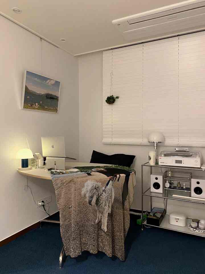 White-toned home office featuring navy rug and LP turntable creating a cozy remote work space