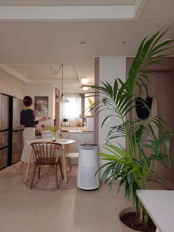 White and wood tone kitchen space featuring a round dining table and large green plant at center with warm, natural ambiance