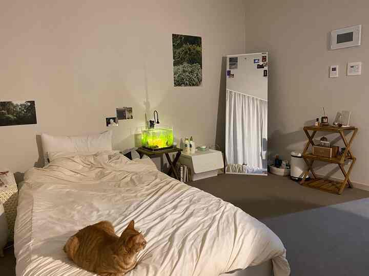 White and beige toned bedroom featuring a bed with a resting cat, separate stool, and full-length mirror in a natural, cozy interior