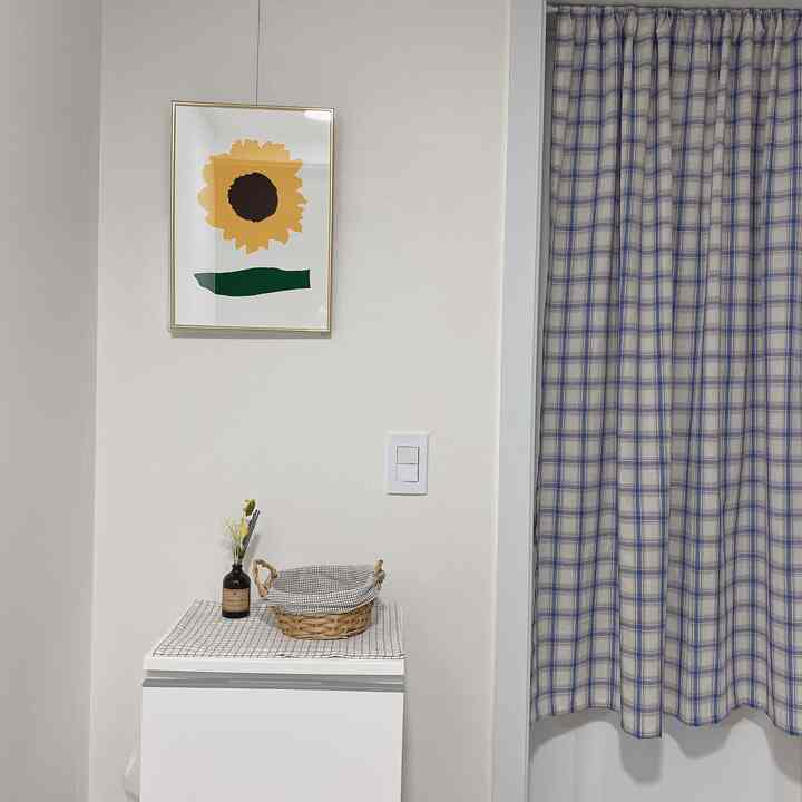 White and natural toned entrance space featuring a checkered curtain and sunflower picture frame with clean, simple decor