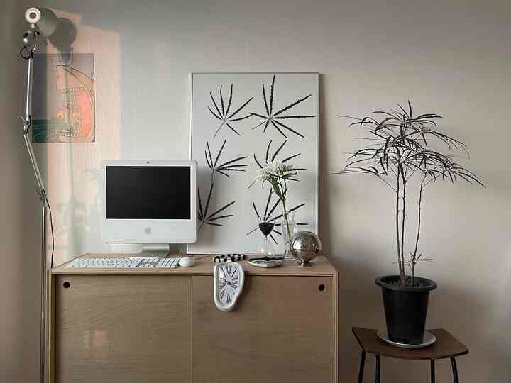 ナチュラルな色調のワンルーム、ドレッサー上にコンピューターとランプ、植物が配置されたシンプルで清潔感のあるインテリア