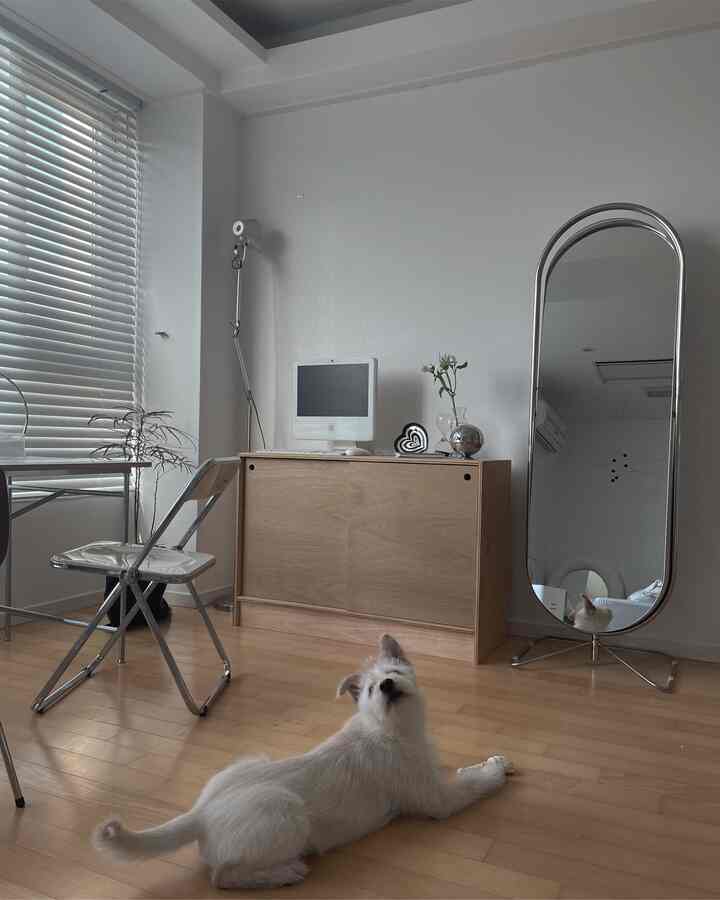 Natural modern toned home office space featuring a dog and simple wooden furniture with bright relaxed vibe