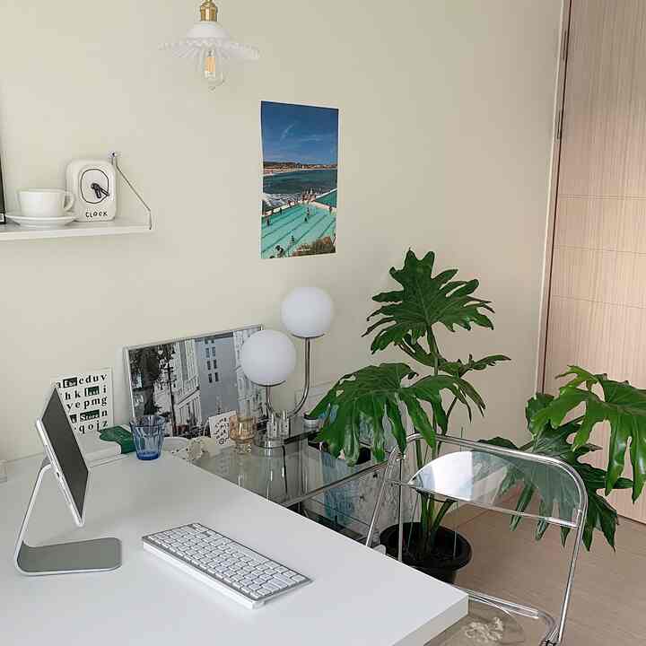 White and transparent material studio home office with large plants, featuring a clean and natural atmosphere