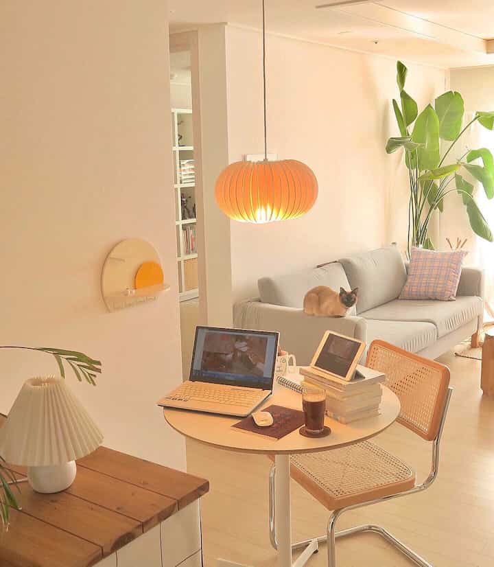 Natural toned living room and kitchen space featuring a round table, gray sofa, and a pet cat in cozy interior