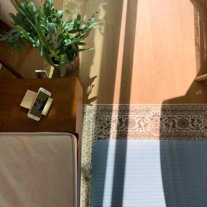 3月になれば学生の時のようにまともに計画を立てたいと思いました。目標の1つは、毎朝YouTubeでヨガをすることです。毎日は難しいですが、それでも週4回はやろうとしています。運動を終えて家の中に入ってくる光が綺麗で撮りました！